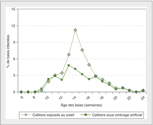 Figure 3. Dynamique temporelle des infections de CBD en fonction de l'exposition des caféiers