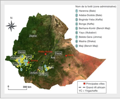 Figure 1. Forêts et terroirs à café d'Éthiopie. Figure 1. Forests and coffee 'terroirs' of Ethiopia.