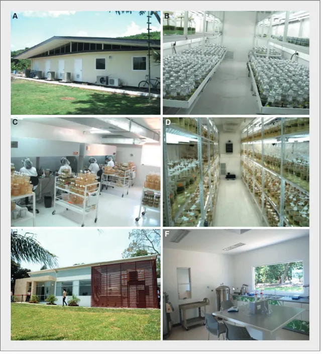 Figure 1. Les laboratoires de propagation in vitro du caféier de Sebacco au Nicaragua et de Xalapa au Mexique