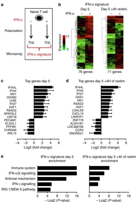 Figure 1 | IFN-a induces a conserved signature during the differentiation of naive CD4 T cell