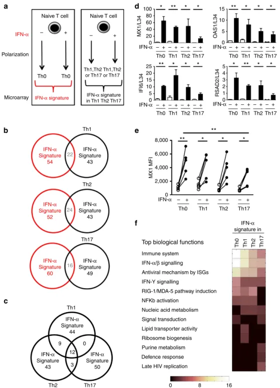 Figure 2 | T helper inﬂammatory microenvironments control IFN-a response and generate a diversity of transcriptional and functional programs