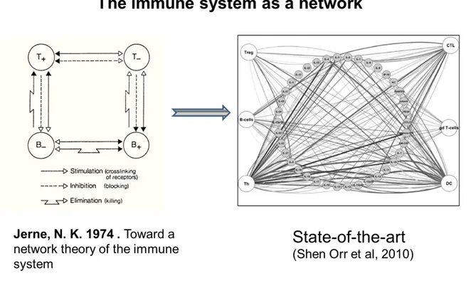 Figure 2- Two representative views of the immune system as a network.  