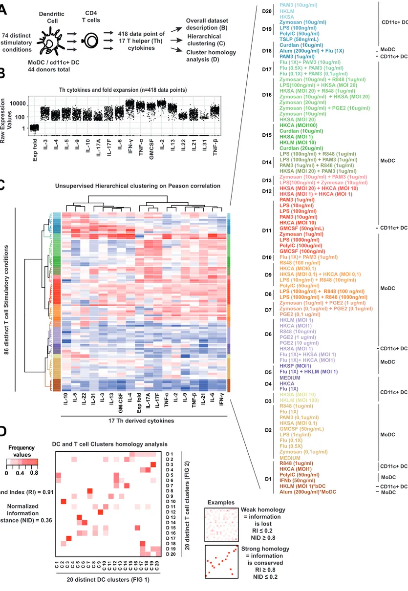 FIGURE 2 : Systematic T helper cell cytokines profiling reveals an overall conservation of Dendritic cells derived information 