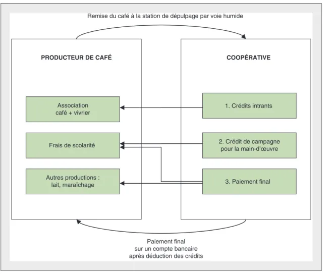 Figure 5. Le système café au Kenya inclut la coopérative.