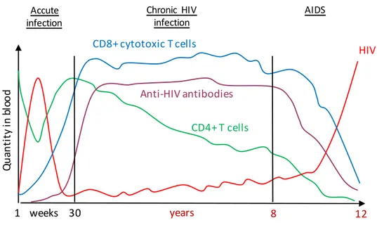 Figure 2: Evolution of HIV-1 infection.  