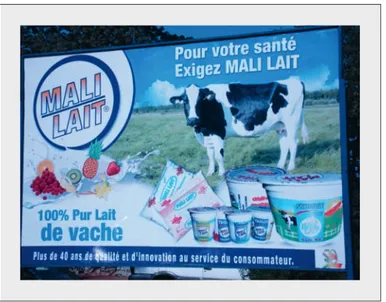 Figure 2. Panneau publicitaire et gamme de produits de Mali-Lait (cliché : C. Corniaux)