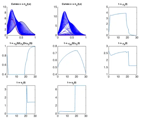 Figure 2: Simulation of the solution to (OCP 1 ) for T = 30. Here, ρ CS (t) := R 0 1 (1 −x)n C (t, x) dx