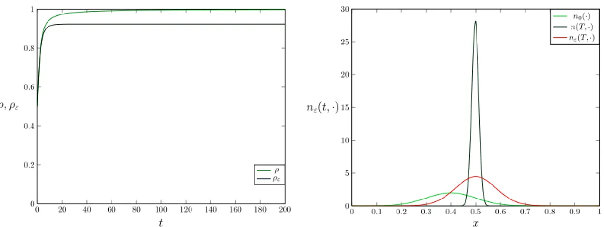 Figure 2.2: On the left, plots of functions ρ, ρ ε , on the right of n and n ε at the final time,