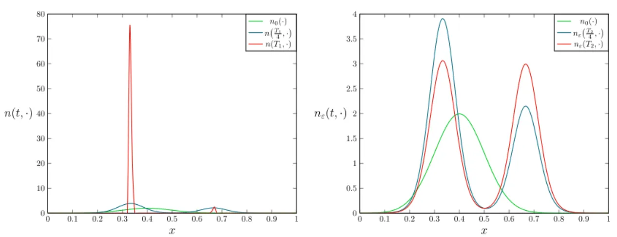 Figure 2.4: On the left, plot of functions n(t, ·) at different times up to T 1 = 500, on the right