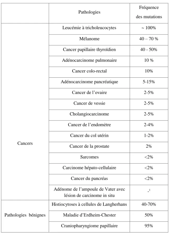 Tableau  1.  Fréquence  des  mutations  de  l’oncogène  B-RAF  dans  les  cancers  et  les  pathologies bénignes