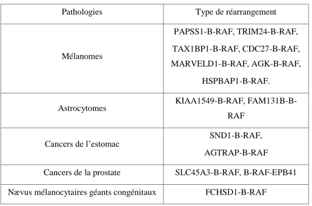 Tableau 2. Réarrangements B-RAF dans les cancers et les pathologies bénignes. 
