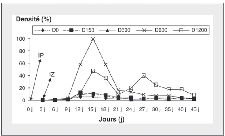 Figure 3. Évolution des densités du zooplancton en fonction des doses de fiente de volaille appliquées