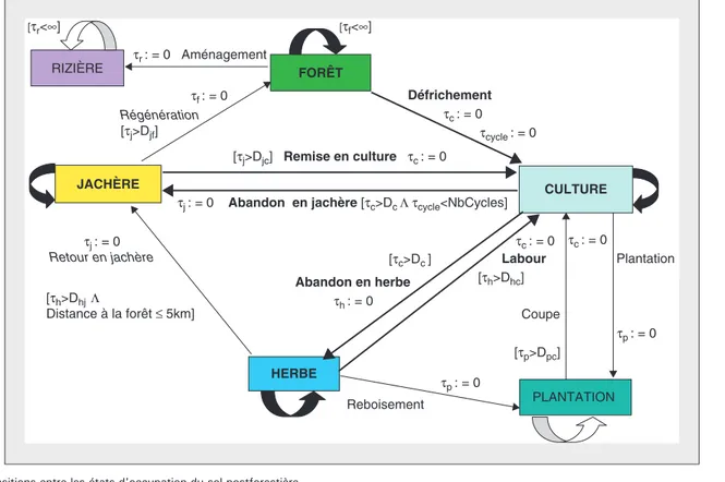 Figure 1. Transitions entre les états d'occupation du sol postforestière.