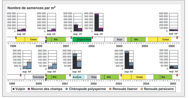 Figure 5. Évolution du stock semencier (en nombre de semences par mètre carré) sur les deux parcelles du système PI-TCSL entre 2001 et 2005.