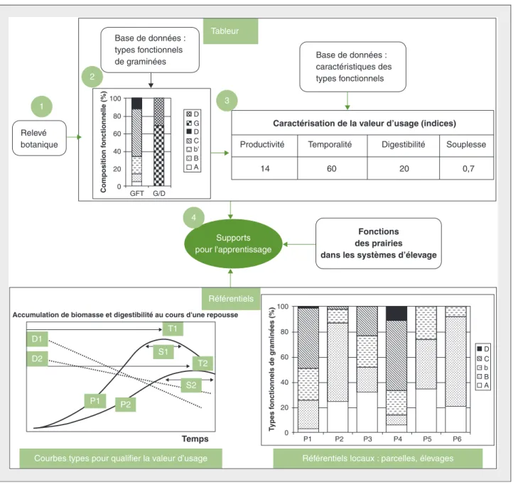 Figure 2. Les quatre étapes d'utilisation d'Herb'type.