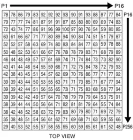 Figure III-7 variations de l’amplitude des signaux  collectés  à  l’anode  d’un  PSPMT  (Hamamatsu   -16x16 voies) sous éclairage uniforme 