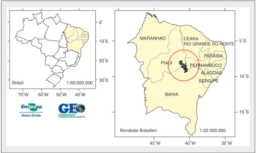 Figure 1. Localisation du territoire du « Alto Sertão do Piauí e Pernambouco ». Figure 1