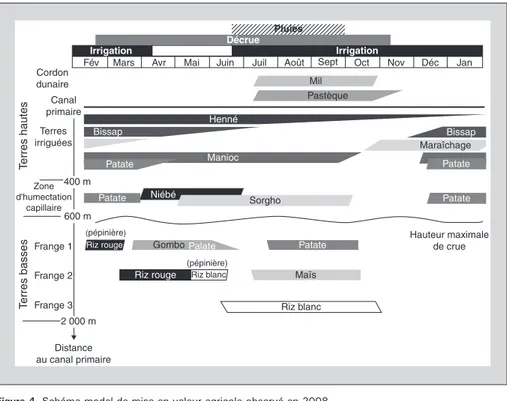 Figure 4. Schéma modal de mise en valeur agricole observé en 2008.