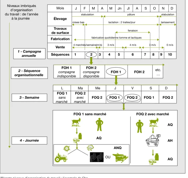 Figure 1. Les diffe´rents niveaux d’organisation du travail : l’exemple de Cbo. Figure 1