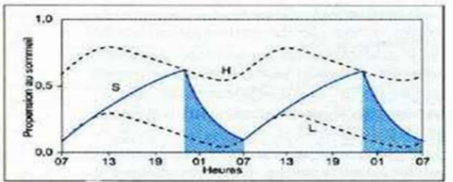 Figure  4 :  Modèle  de  régulation  du  sommeil  à  2  processus.  H :  seuil  haut,  seuil  circadien  d’endormissement ;  L :  seuil  bas,  seuil  circadien  d’éveil,  S :  processus  sommeil  dépendant