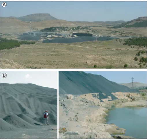 Figure 2. Description du site d’Oued El Heimer.