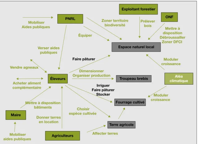 Figure 1. Acteurs et activite´s : mode`le conceptuel. Figure 1. Actors and activities: the conceptual model.
