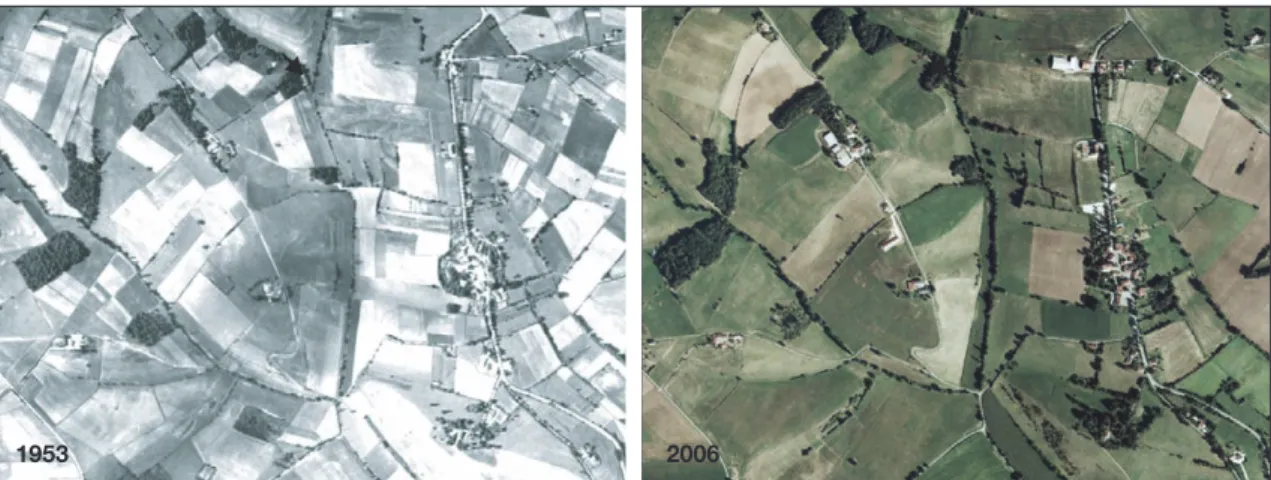 Figure 2. E´volution du paysage, entre 1953 et 2006, marque´e par un agrandissement des parcelles et une relative stabilite´ des e´le´ments boise´s