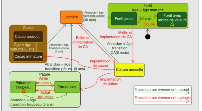 Figure 2. Diagramme d’e´tat-transition de la ve´ge´tation.