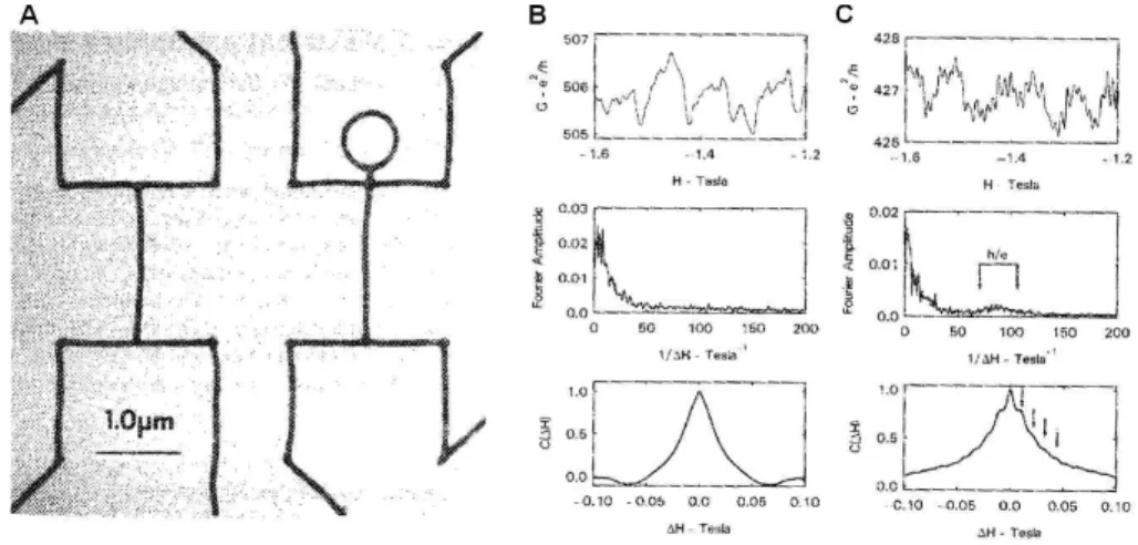 Figure 1.14 – A : Photo au microscope ´electronique `a transmission de quatre lignes d’or avec et sans anneau