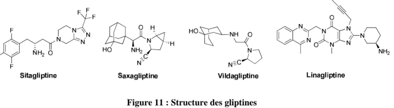 Figure 11 : Structure des gliptines 
