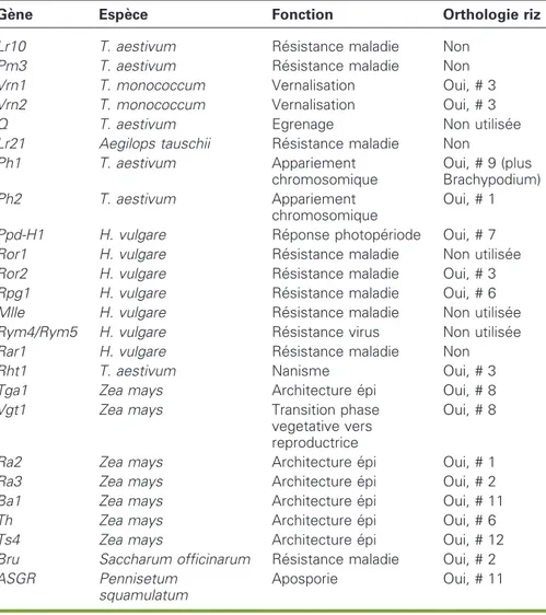 Tableau 2 . Utilisation de la synte´nie et de l’orthologie avec le riz pour le clonage de ge`nes importants chez d’autres gramine´es.