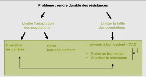 Figure 3. Repre´sentation sche´matique des e´le´ments a` inte´grer pour une gestion durable des re´sistances varie´tales.