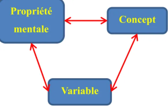 FIGURE 13 : SCHEMA DIFFERENCIANT PROPRIETE-CONCEPT-VARIABLE 