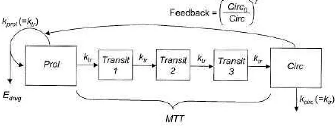 Figure 12 Structure du modèle PK-PD pour la myélosuppression induite par la chimiothérapie 