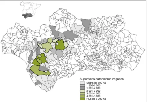 Figure 5. Geographic distribution of cotton production in Andalusia.