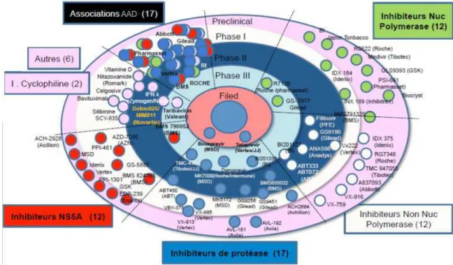 Figure 4 : Molécules en cours de développement contre le virus de l’hépatite C  (Bourlière 2013)