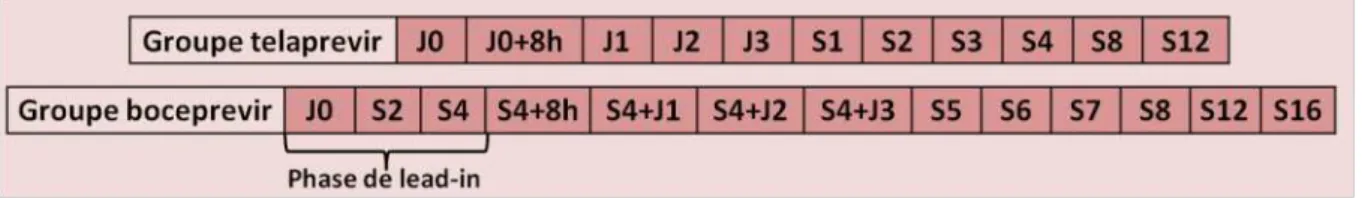 Figure 8 : planning des prélèvements de l’étude ANRS MODCUPIC. 
