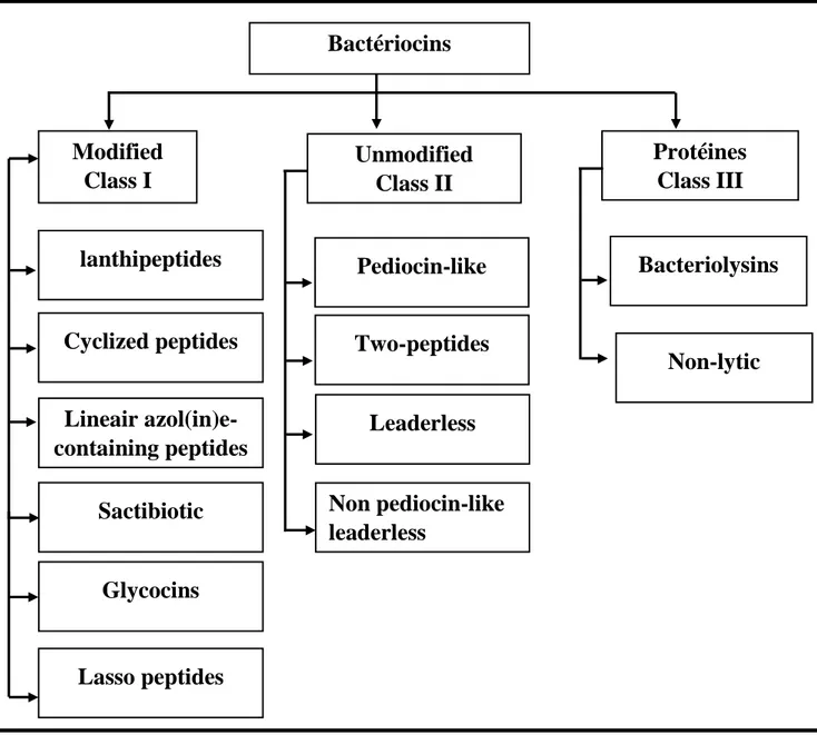 Figure 05 : Système de classification des bactériocines baser sur les travaux d’Alvarez- d’Alvarez-sieiro et ces collaborateurs en 2016 (JIONG ZOU, 2017).