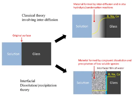 Figure  4  |Représentation  schématique  des  deux  modèles  d’altération  du  verre  proposés  : 