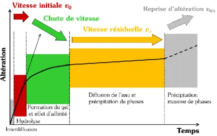 Figure 6 | Représentation schématique de l’évolution de la vitesse d’altération du verre