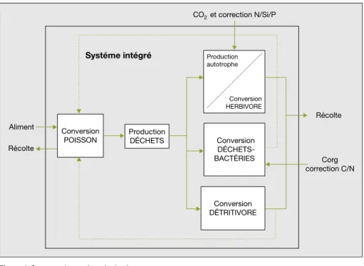 Figure 4. Concept du syste`me inte´gre´.