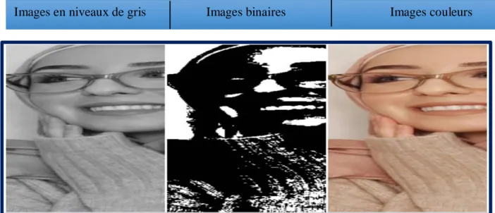 Figure 2.1: Différents types d'images. 