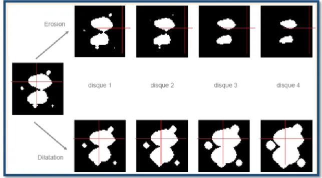 Figure 2.5 : Exemple de dilation et érosion. 
