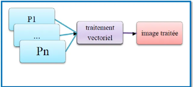 Figure 2.8:  Les stratégies vectorielles [8]. 
