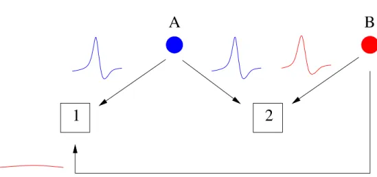 Figure 1.2: Int´ erˆ et d’une ´ electrode multisite pour la classification des potentiels d’action