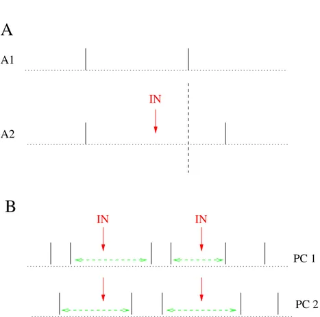 Figure 2.6: Effet sch´ ematique de l’inhibition commune de deux cellules de Purkinje par un interneurone