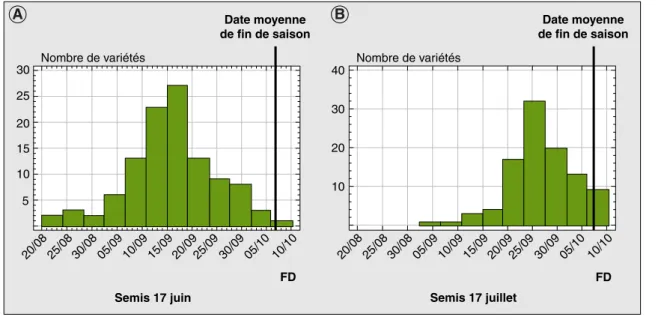 Figure 3 . Distribution des dates de fin de l’expansion du système foliaire.