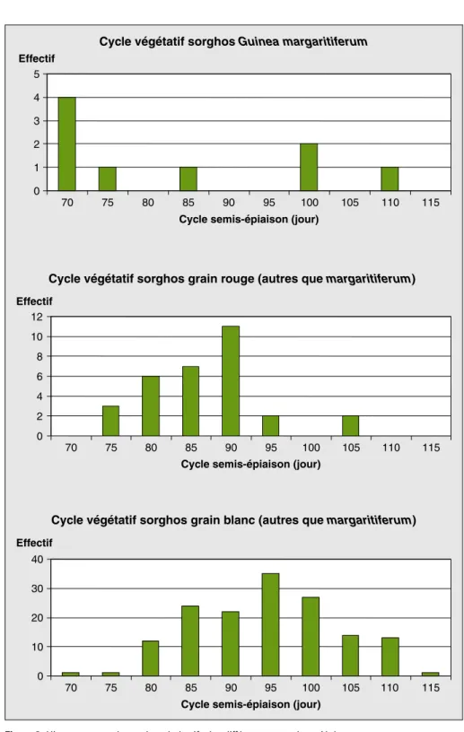 Figure 2 . Histogrammes des cycles végétatifs des différents types de variétés.
