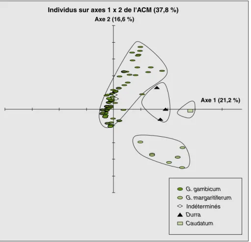 Figure 3. Racial stratification of varieties on the first plane of MCA.
