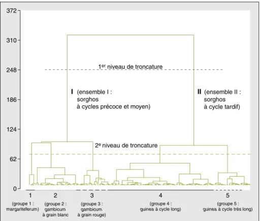 Figure 4. Classification hiérarchique ascendante (CHA) des 190 variétés suivant le critère d’agrégation de